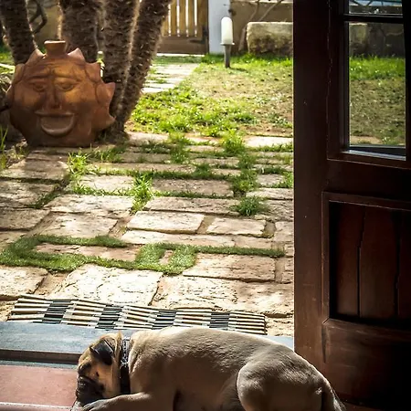 Il Carlino *